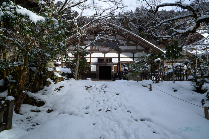 SDIM3316co,20 mm,F10,iso100(DNG).jpg