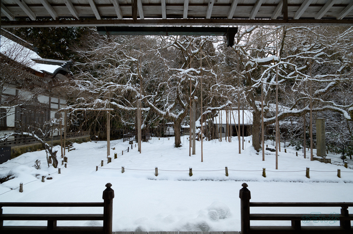 SDIM3382co,20 mm,F10,iso100(DNG).jpg