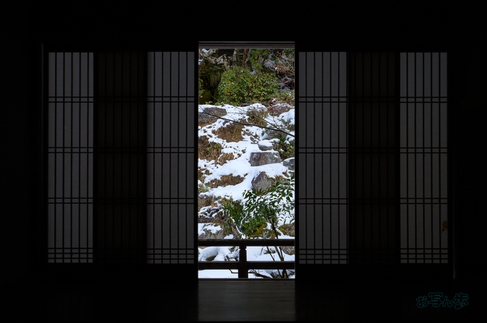 SDIM3413co,64 mm,F10,iso100(DNG).jpg