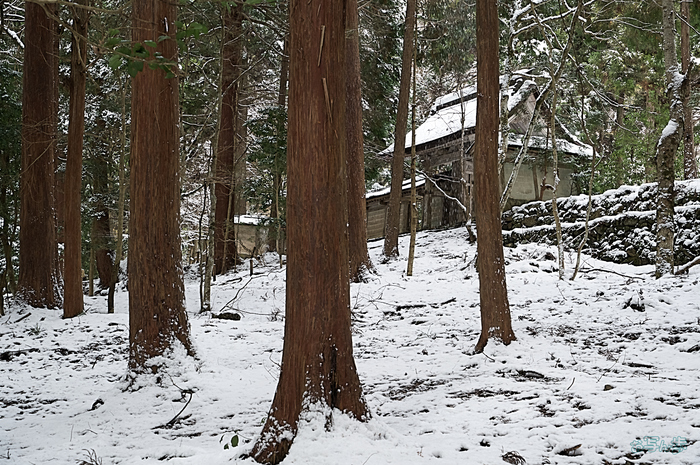 SDIM3439,56 mm,F10,iso500_1-60 秒(DNG).jpg