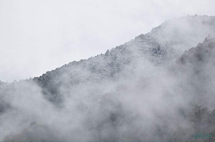 SDIM3789,200 mm,F2,iso100_1-800 秒(DNG).jpg