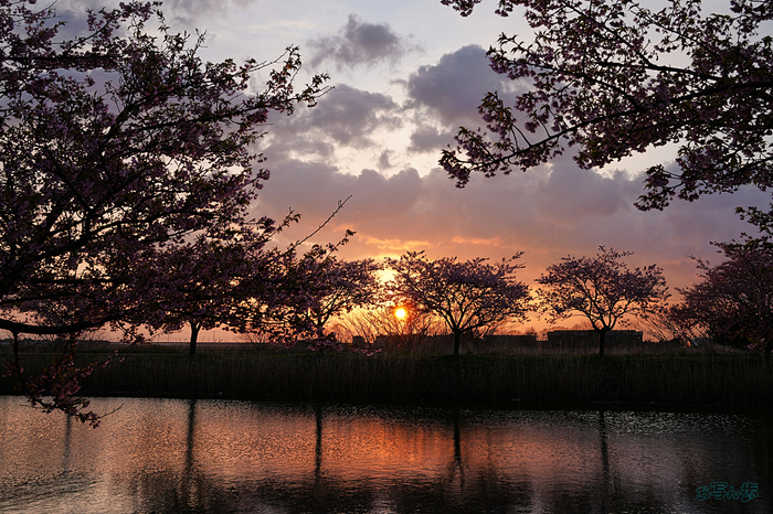 7RV00039,35 mm,F10,iso100_1-60 秒(JPEG).jpg