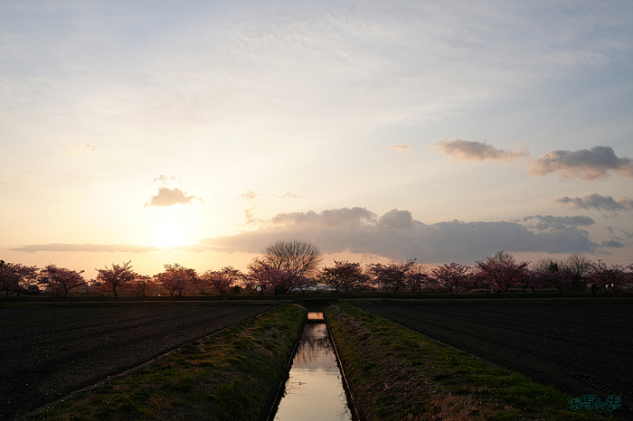 7RV00081,35 mm,F10,iso100_1-125 秒(JPEG).jpg