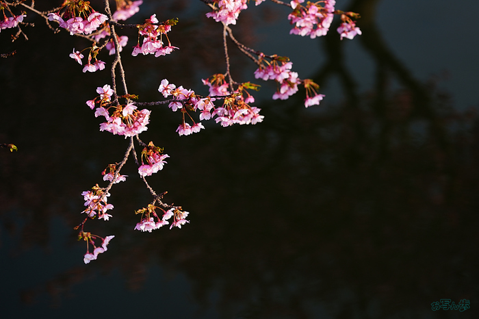 7RV00254,100 mm,F3.5,iso100_1-320 秒(JPEG).jpg