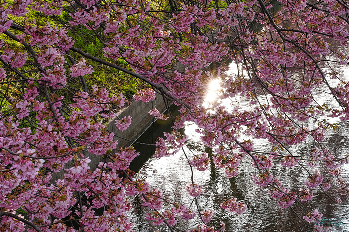 7RV00405,100 mm,F22,iso1600_1-100 秒(JPEG).jpg