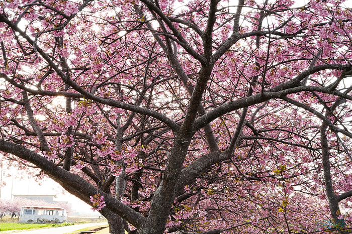 7RV00411,50 mm,F22,iso1000_1-50 秒(JPEG).jpg