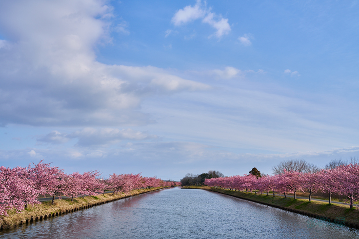 7RV00693co,35 mm,F10,iso100(SRAW).jpg