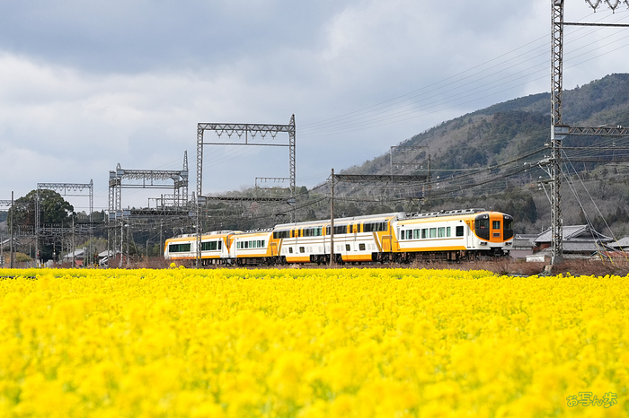 7RV00778,93 mm,F8,iso1250_1-2500 秒(JPEG).jpg