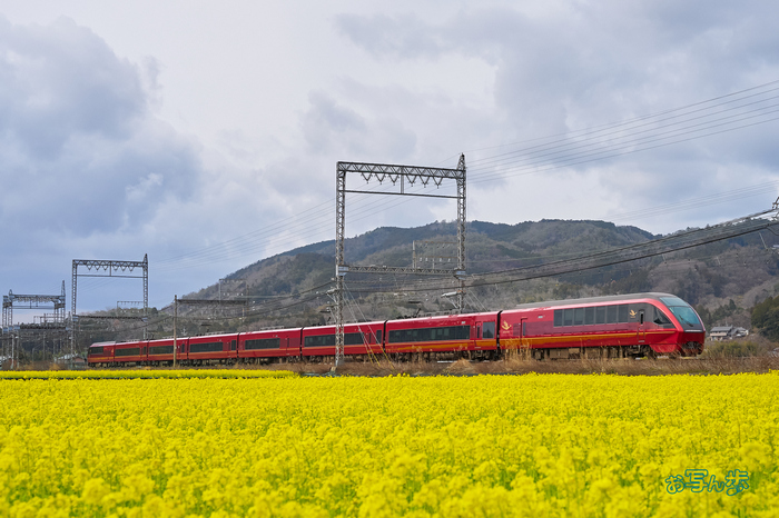 7RV00796co,52 mm,F8,iso1000(SRAW).jpg