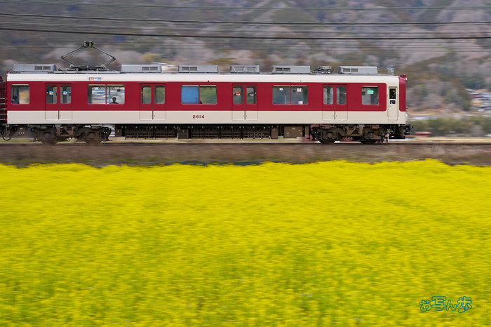 7RV00874co,58 mm,F11,iso100(SRAW).jpg