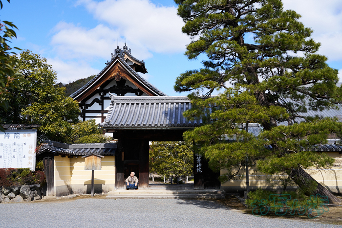 7RV01226co,35 mm,F8,iso100(SRAW).jpg