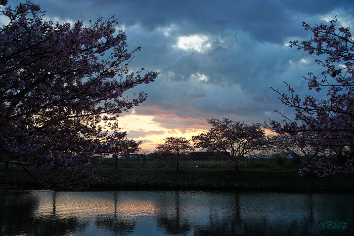 7RV09919,35 mm,F6.3,iso125_1-40 秒(JPEG).jpg