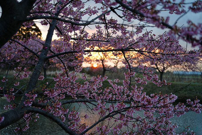 7RV09942,52 mm,F2.8,iso100_1-60 秒(JPEG).jpg