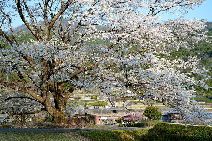 SDIM5666,35 mm,F14,iso800_1-250 秒(JPEG).jpg