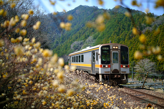 SDIM5719co,35 mm,F1.4,iso200(JPEG).jpg