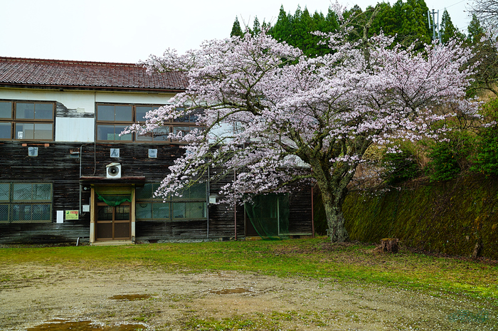 SDIM6764,35 mm,F2.5,iso100_1-400 秒(JPEG).jpg