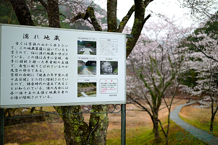 SDIM7080,35 mm,F1.4,iso100_1-800 秒(JPEG).jpg