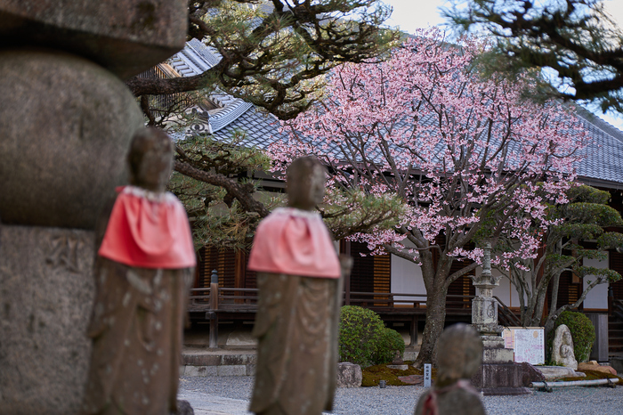7RV02273co,55 mm,F2.8,iso100(SRAW).jpg