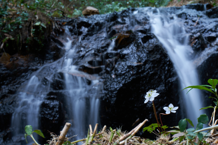 7RV04871co,50 mm,F22,iso64(SRAW).jpg