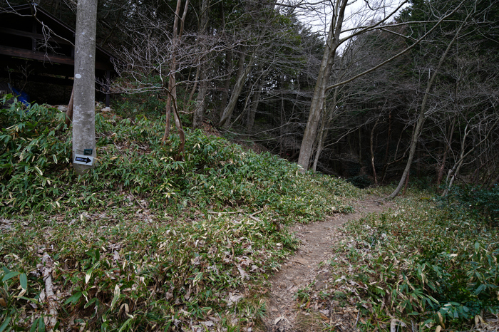 7RV04960co,24 mm,F2.8,iso100(JPEG).jpg