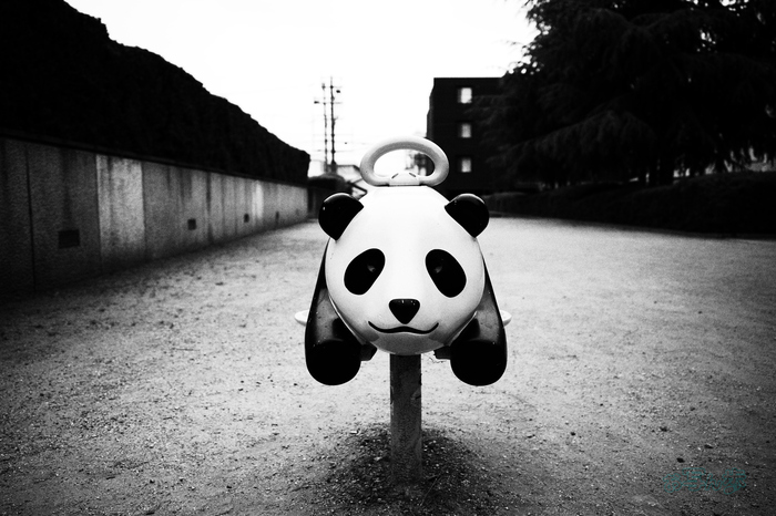 R0000442co,18 mm,F2.8,iso160(JPEG).jpg