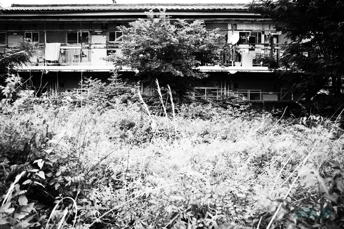 R0000472co,18 mm,F2.8,iso320(JPEG).jpg