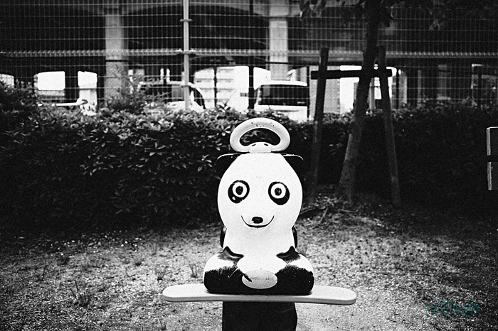 R0000511co,18 mm,F2.8,iso320(JPEG).jpg