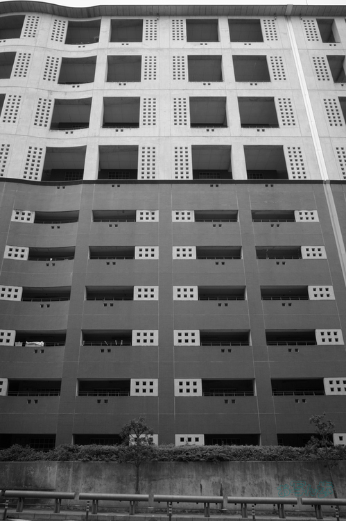 R0000530co,18 mm,F9,iso320(JPEG).jpg