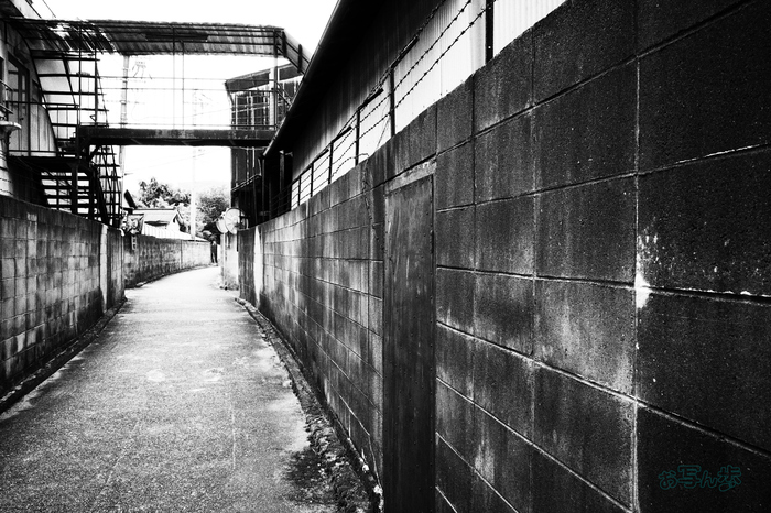 R0000549co,18 mm,F8,iso320(JPEG).jpg