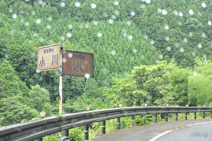 20260624_114101,7 mm,F2.4,iso40(JPEG).jpg