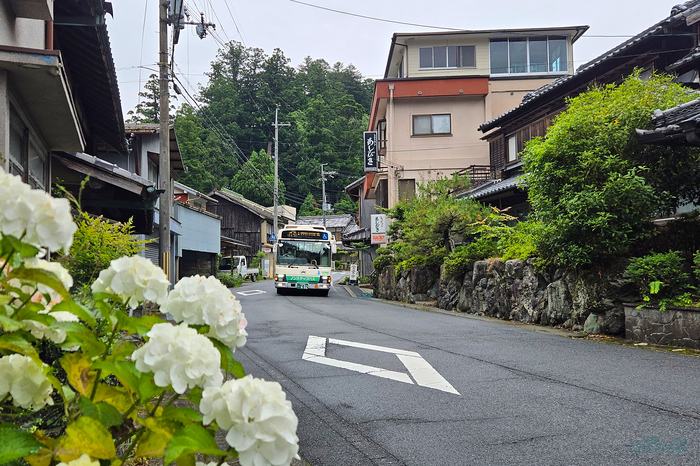 20260624_115006,5 mm,F1.8,iso25(JPEG).jpg