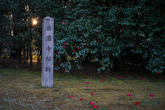 7RV03482co,43 mm,F22,iso3200(SRAW).jpg