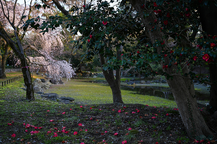 7RV03623,38 mm,F2.8,iso100(JPEG).jpg