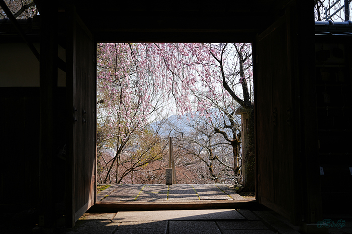 7RV04037,35 mm,F2.8,iso100(JPEG).jpg