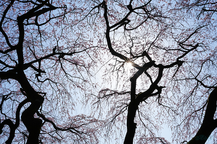 7RV04124,35 mm,F22,iso100(JPEG).jpg
