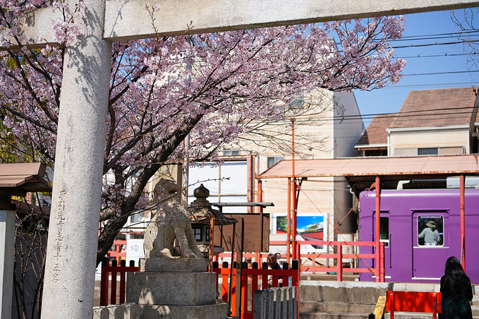 7RV04353,58 mm,F2.8,iso100(JPEG).jpg