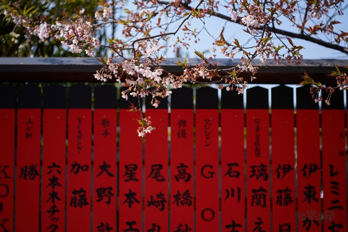 7RV04362co,99 mm,F2.8,iso100(SRAW).jpg
