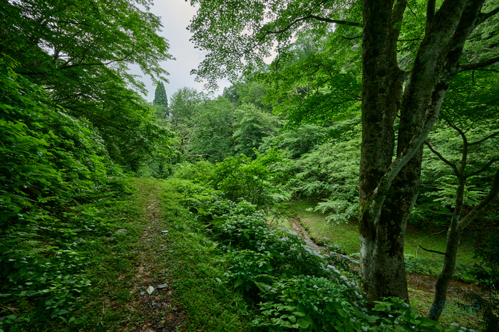 DSC_0127co,14 mm,F13,iso400(High efficiency  RAW).jpg