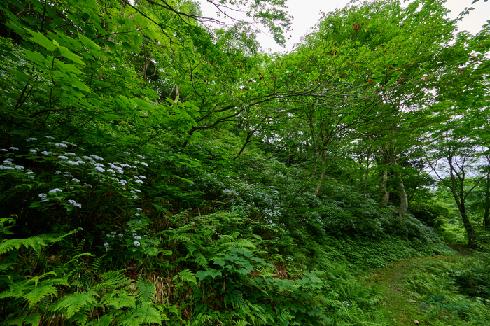 DSC_0198co,14 mm,F11,iso720(High efficiency  RAW).jpg