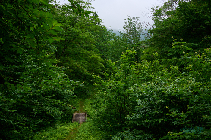 DSC_0252co,32 mm,F10,iso360(High efficiency  RAW).jpg
