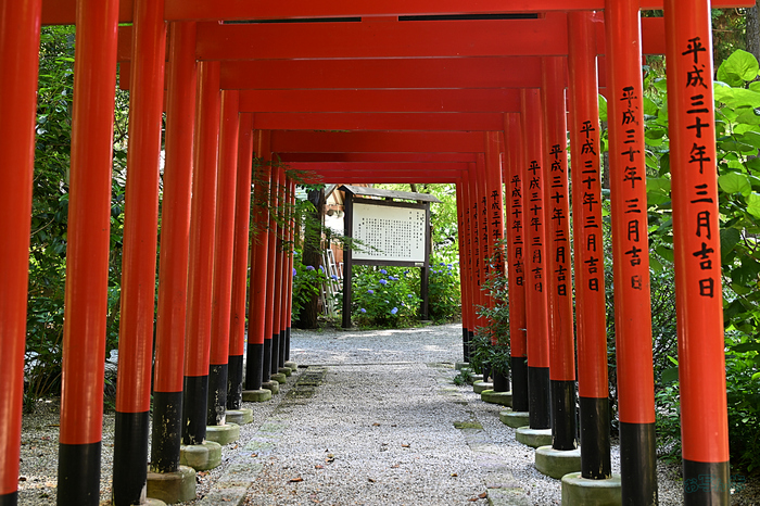 DSC_2070,46 mm,F4.5,iso250(JPEG).jpg