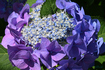 DSC_2130,81 mm,F16,iso100(JPEG).jpg