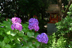 DSC_2134,56 mm,F18,iso800(JPEG).jpg