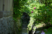 DSC_2142,120 mm,F5,iso100(JPEG).jpg
