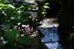 DSC_2145,120 mm,F5,iso100(JPEG).jpg