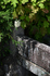 DSC_2154,120 mm,F5,iso100(JPEG).jpg