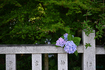DSC_2166,102 mm,F4,iso100(JPEG).jpg