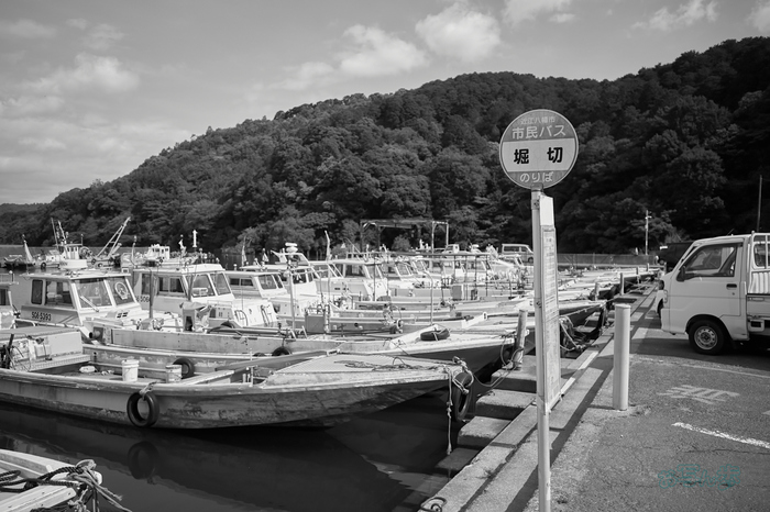 R0000621co,18 mm,F2.8,iso320,RICOH GR IV Monochrome.jpg
