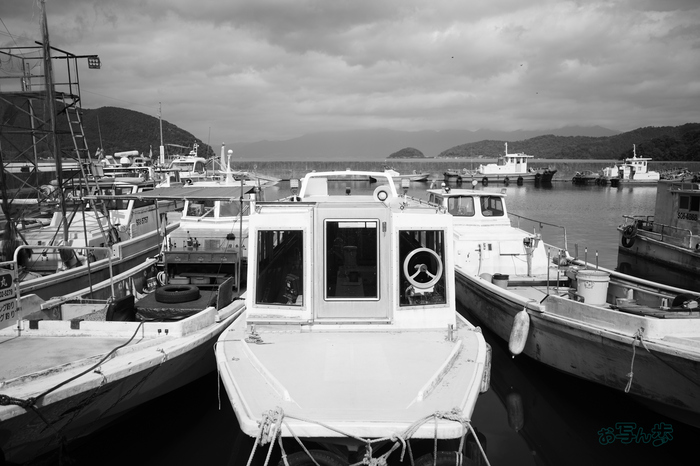 R0000623co,18 mm,F2.8,iso320,RICOH GR IV Monochrome.jpg