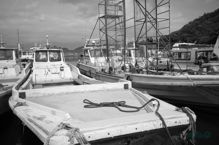 R0000643co,18 mm,F6.3,iso160,RICOH GR IV Monochrome.jpg